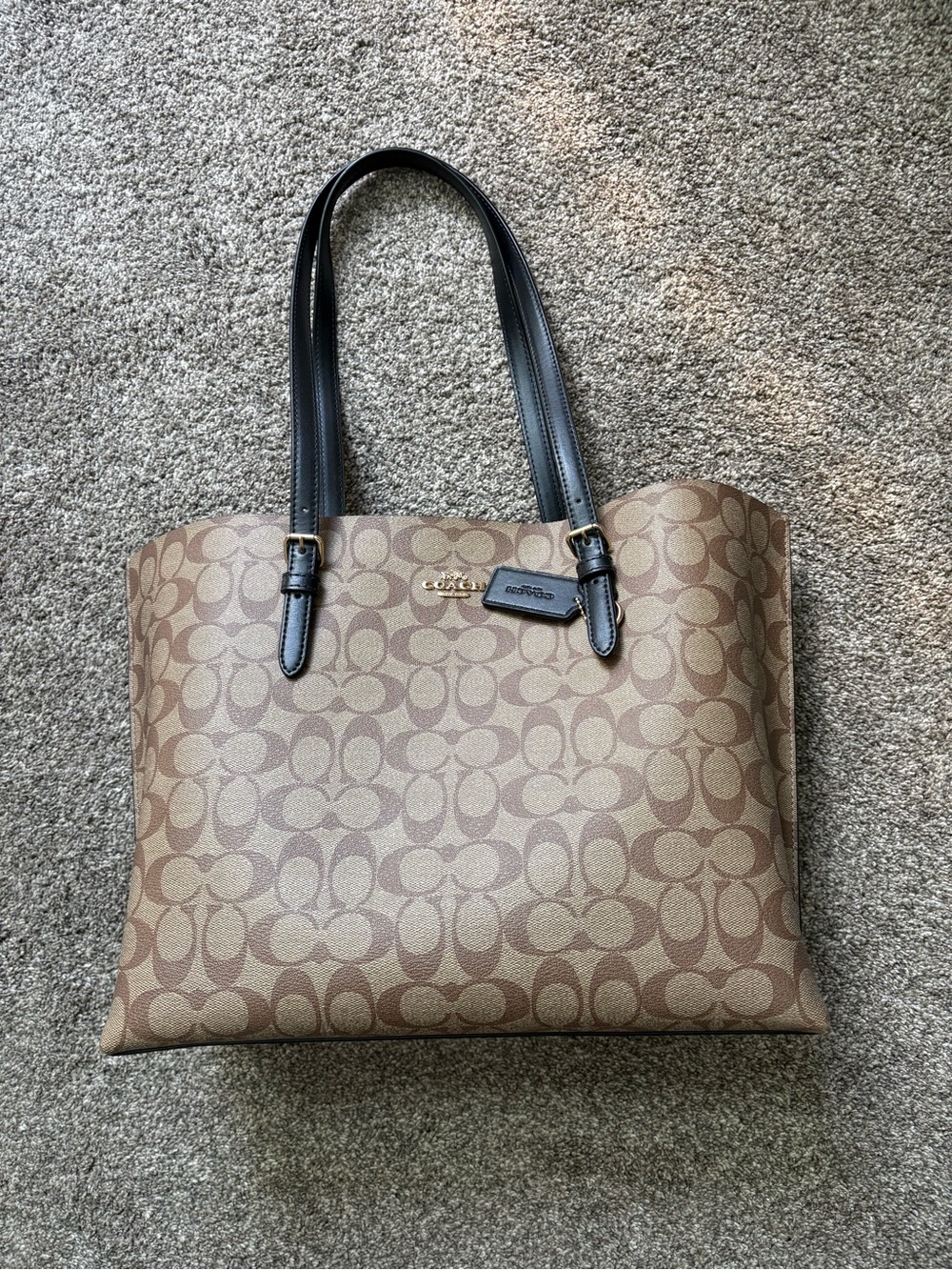COACH Signature Canvas Tote Bag in Brown/Black